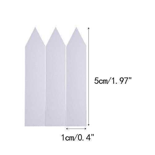 KINGLAKE 100 Pcs 3 Inch Peat Pots, Seeds Starter, Transplant Seedlings With 100 Pcs White Plastic Plant Labels - Image 5