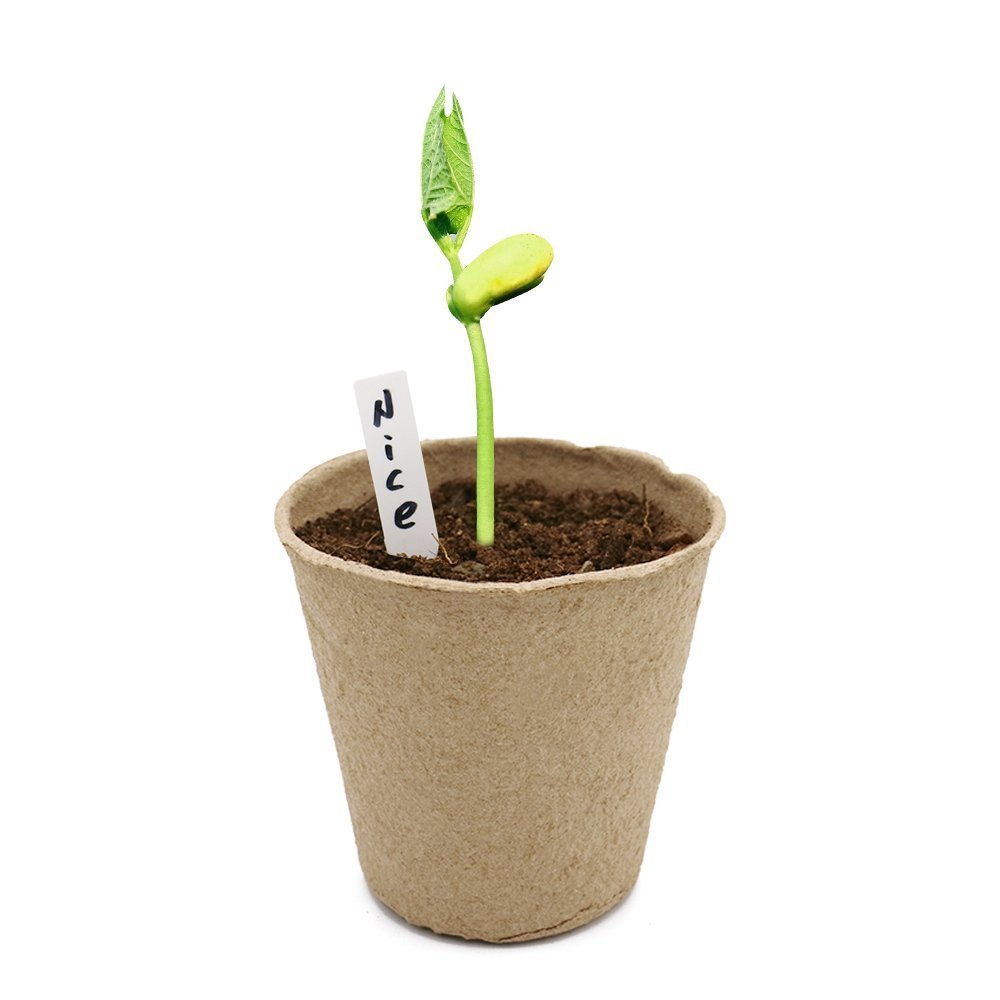 KINGLAKE 100 Pcs 3 Inch Peat Pots, Seeds Starter, Transplant Seedlings With 100 Pcs White Plastic Plant Labels - Image 7