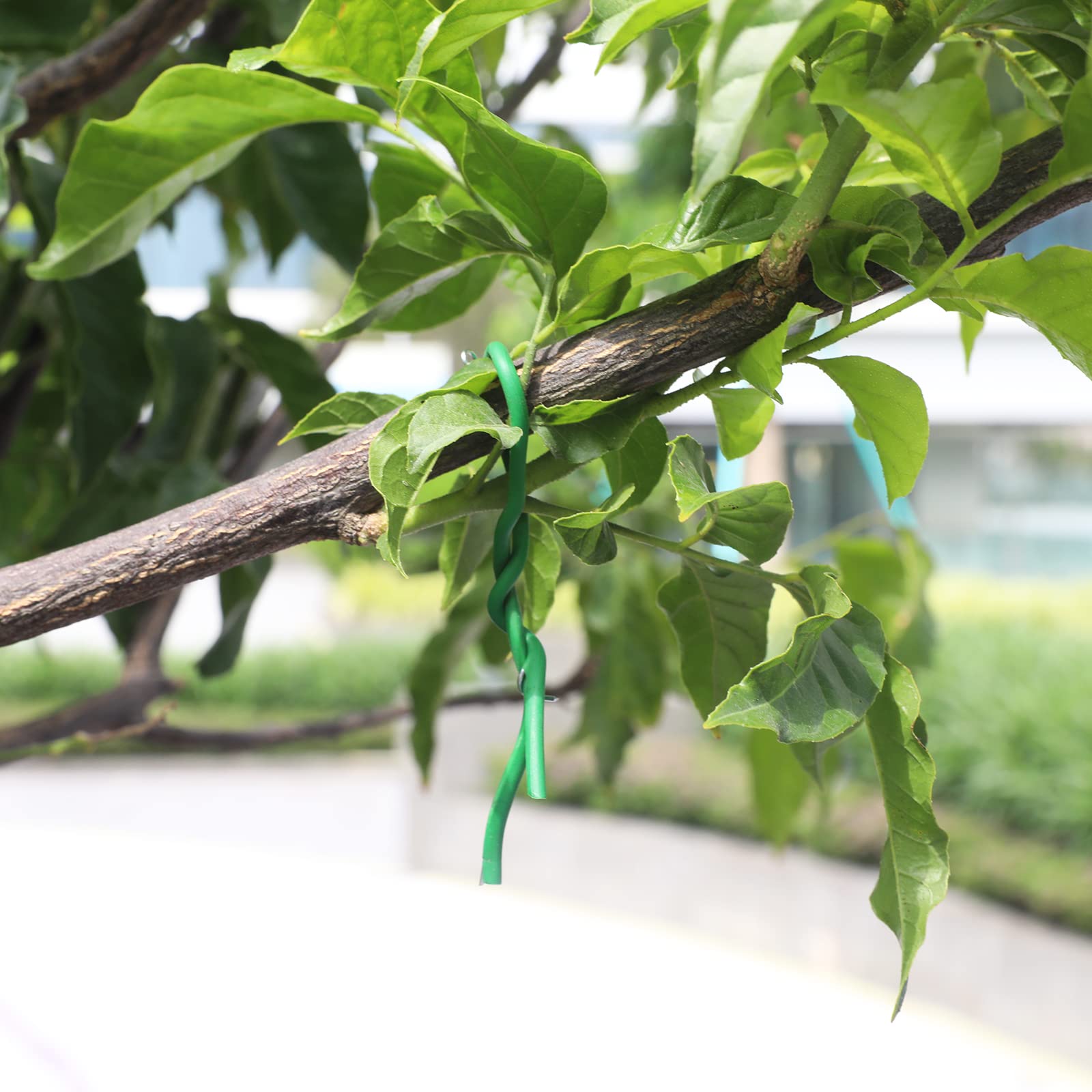 KINGLAKE 3.5mm Garden Flexible Wire Tie Soft Plant Twist Tie,65.6' Soft Plant Wire for Plants Green - Image 4
