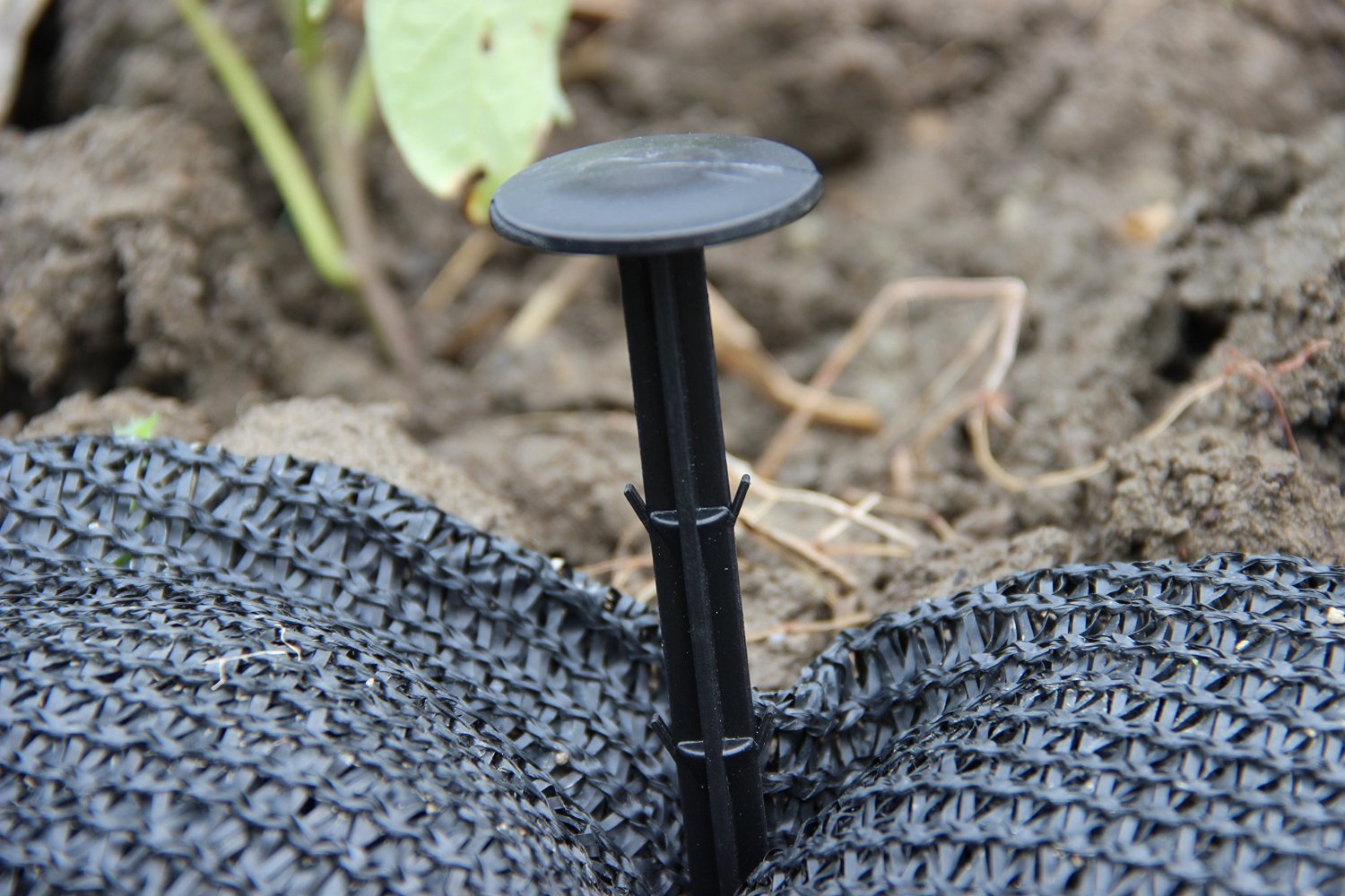 KINGLAKE 30 Pcs 6 Inches Plastic Tarp Stakes Anchors Sturdy Plastic Stakes for Keeping Garden Netting Down,Holding Down The Tarps and Landscape Fabric Lawn Edging,Tents,Weed Cover - Image 4
