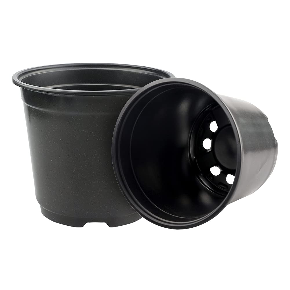 KINGLAKE 50 Pcs 6" Plastic Plants Nursery Seedlings Pots Flower Plant Container Seed Starting Pots Matte Black - Image 6