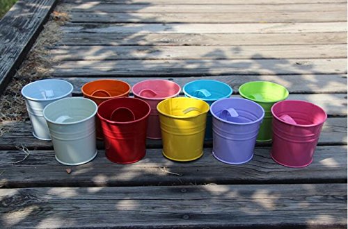 KINGLAKE Flower Pots,10 Pcs Metal Iron Hanging Flower Plant Pots Balcony Garden Plant Planter Baskets Fence Bucket Pot 4'' Flower Holders with Detachable Hook - Image 7