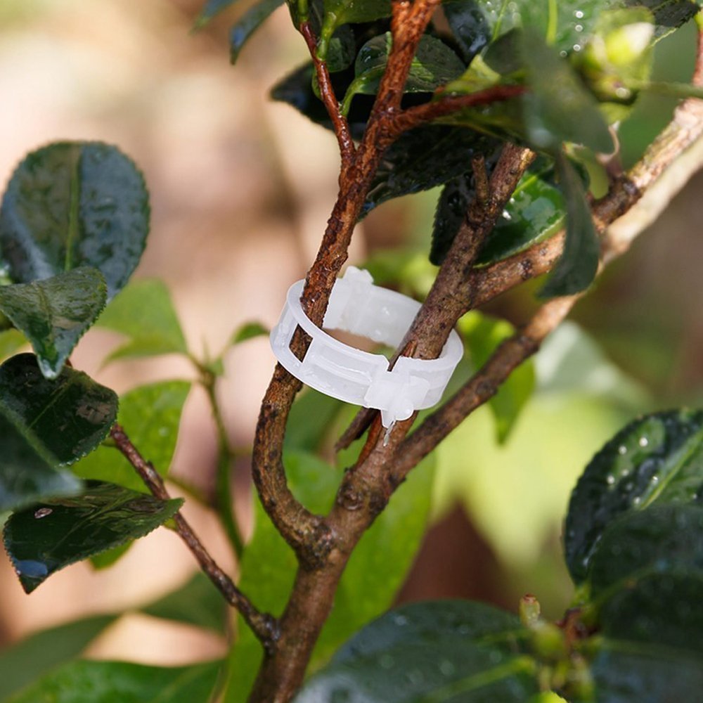 KINGLAKE Plant Support Garden Clips,Tomato Vine Clips,Tomato Trellis Clips 200 Pcs for Vine Vegetables Tomato to Grow Upright and Makes Plants Healthier - Image 6