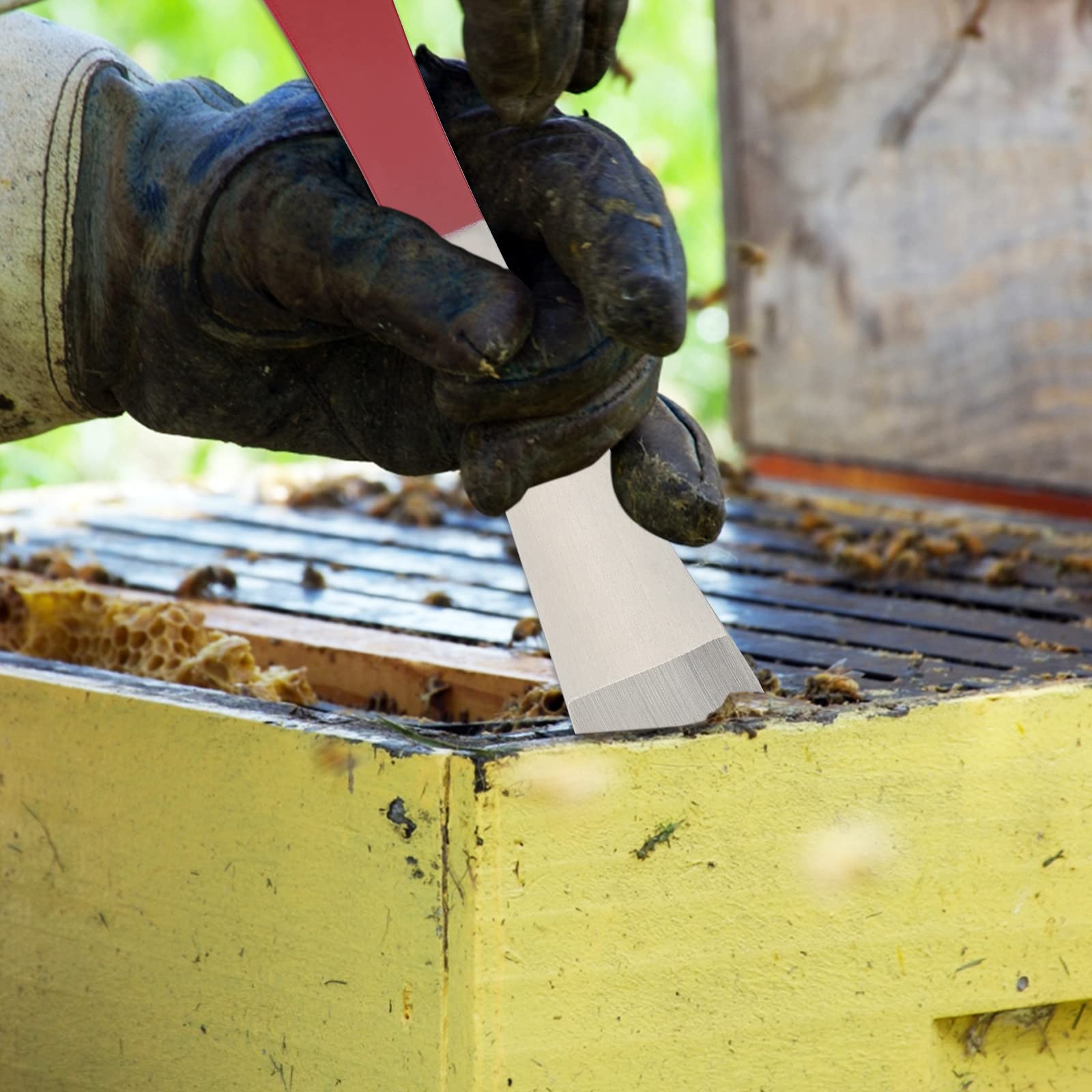 KINGLAKE Steel Hive Tool The Best Paint Scraping Tool Bee Hive Frame Lifter and Scraper for Beekeepers 9 Inch - Image 6